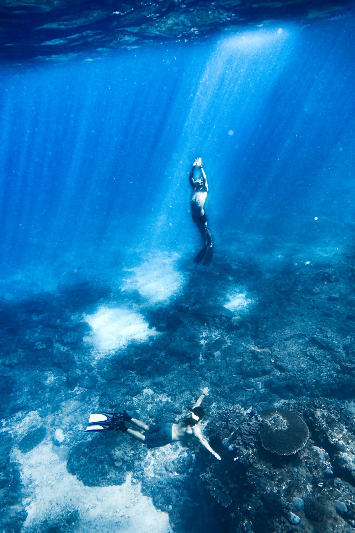 Scuba divers exploring vibrant coral reefs in Bali, Indonesia