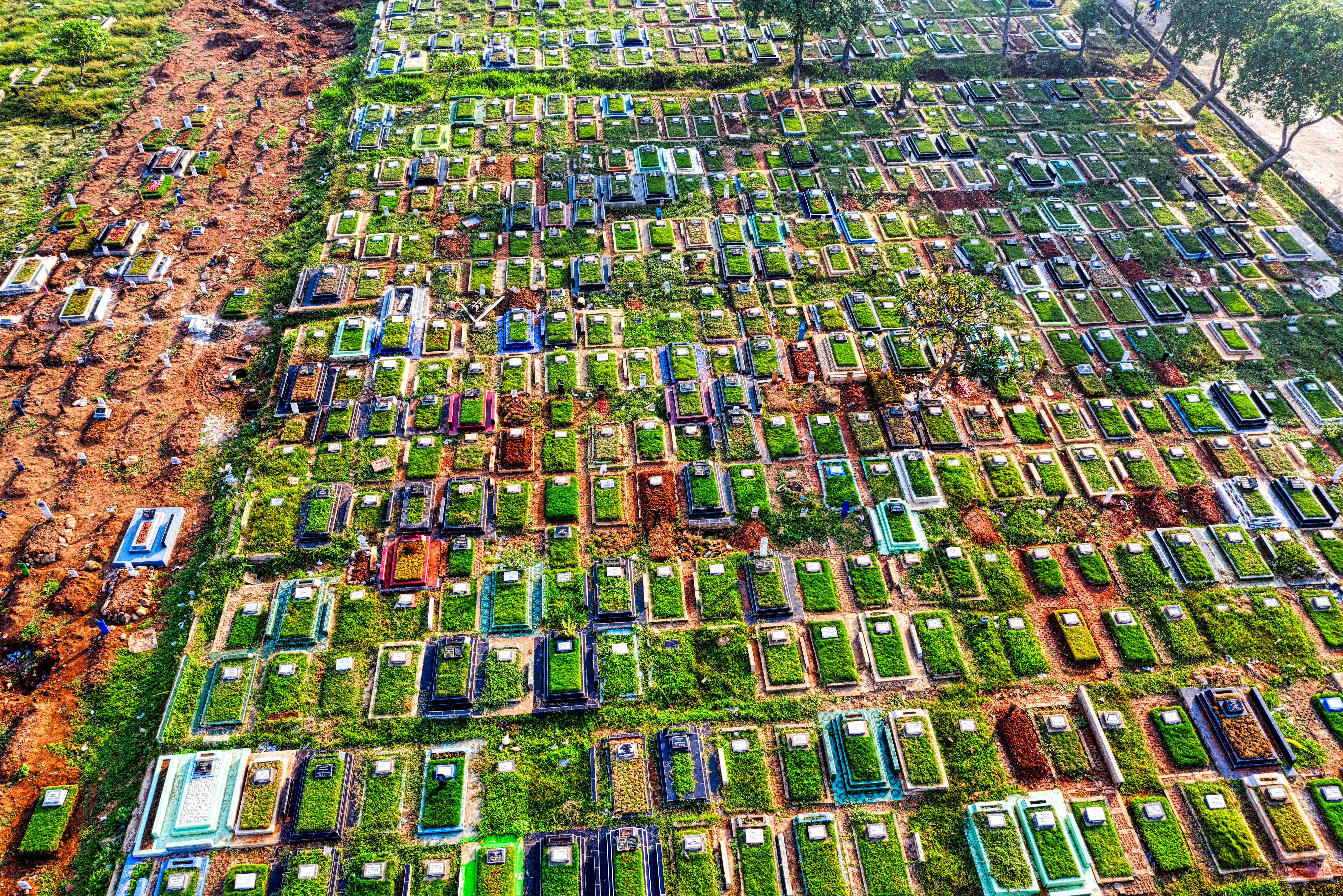 aerial view of houses and trees