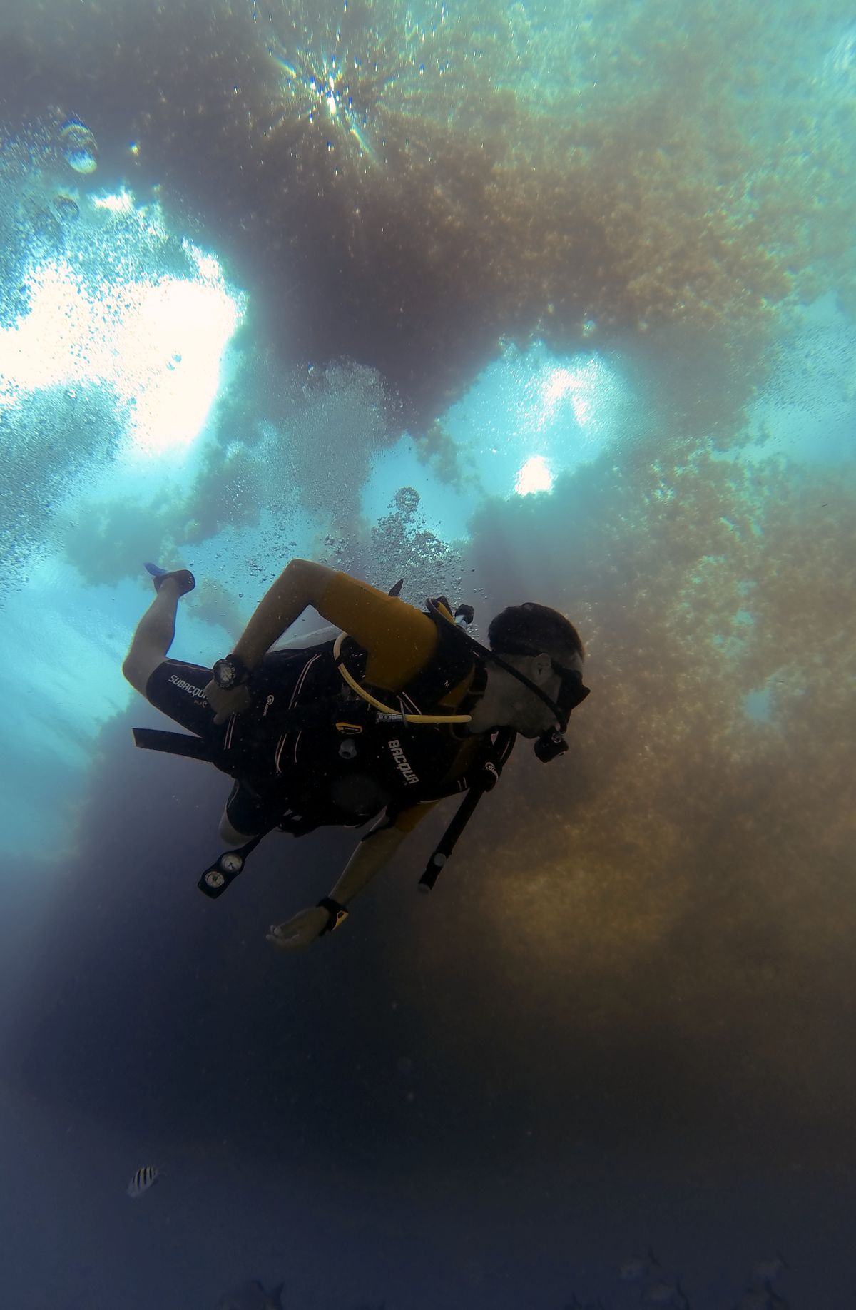 Scuba diving — Underwater, every metre counts.