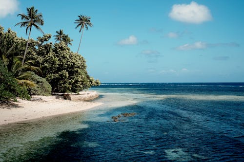 ada, cennet, doğa içeren Ücretsiz stok fotoğraf