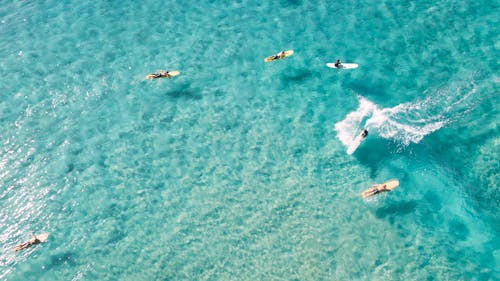 Aerial View of People Surfing 