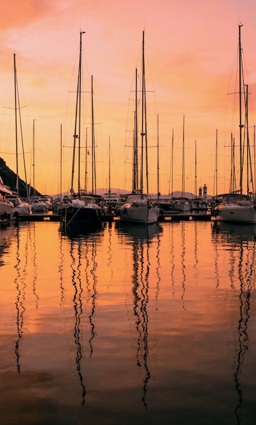 Yachts on a Harbour during Sunset