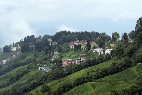 산, 산악 지역, 청산의 무료 스톡 사진