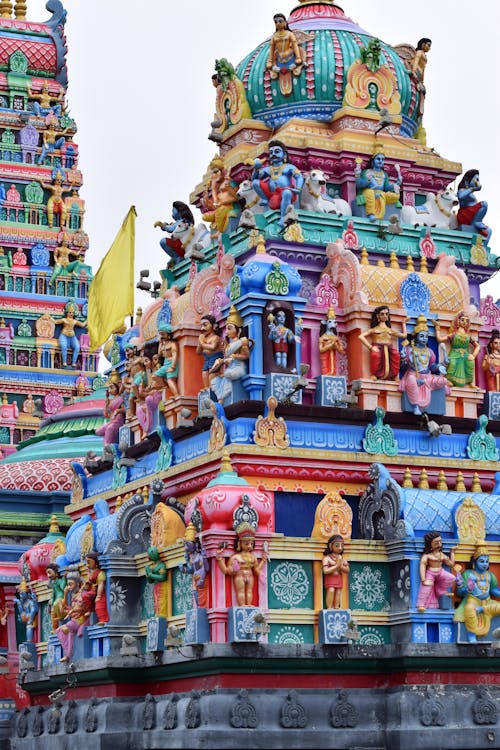 Základová fotografie zdarma na téma barvy v indii, chrám, festival indie