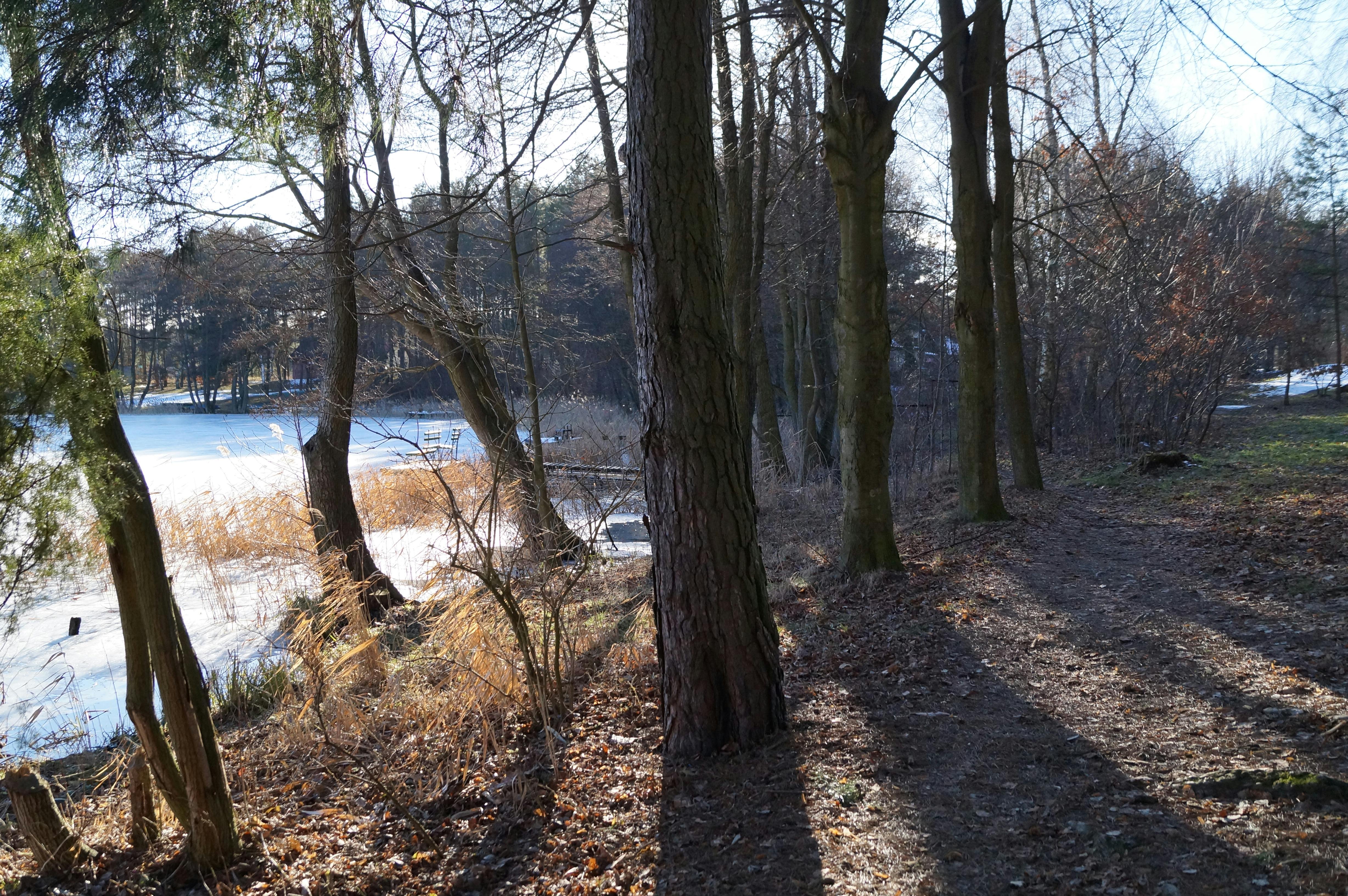 Free stock photo of architecture, ceiling, king's cross
