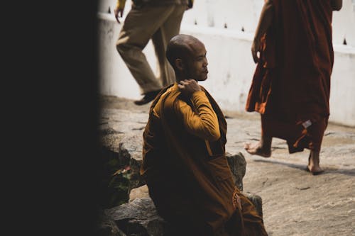 Free stock photo of buddismo, monaco, monk