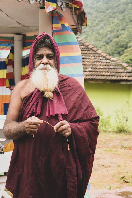 Free stock photo of colori, monaco, sri lanka