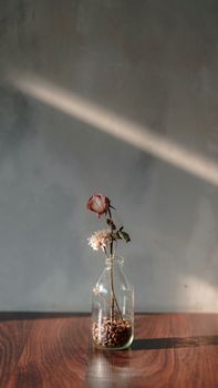 温暖的阳光倾泻而下，玻璃瓶中花卉排列精致