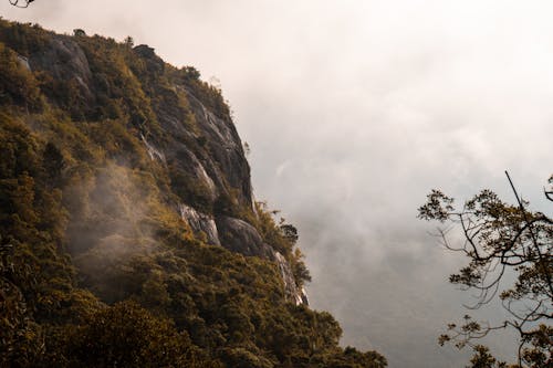 Free stock photo of adams peak, nature, sri lanka