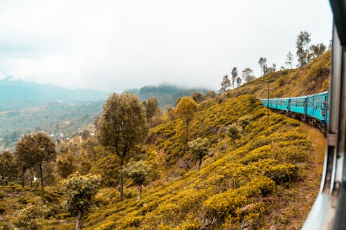 Ingyenes stockfotó Sri Lanka, srí lanka-i vonat, vonat témában