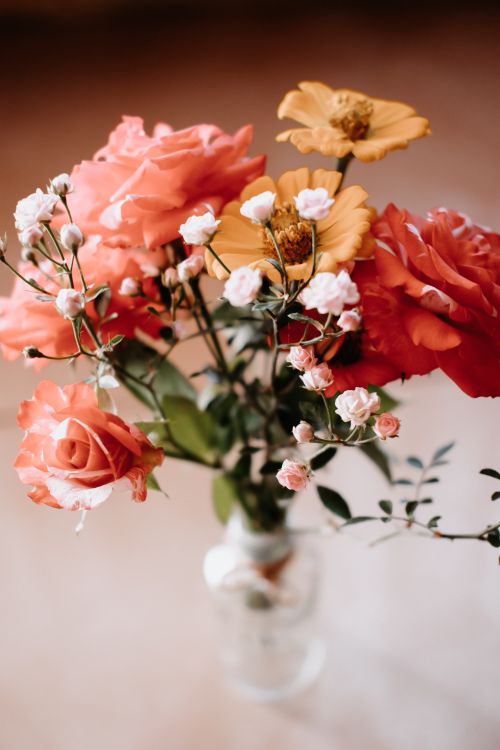 Free A beautifully arranged floral bouquet with roses and daisies in a glass vase against a soft background. Stock Photo