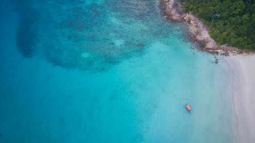 Photos gratuites de bleu, drone, la vie océanique