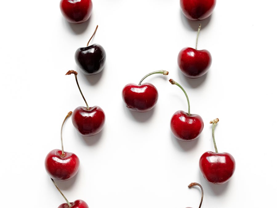 What is the number 1 survival food?
