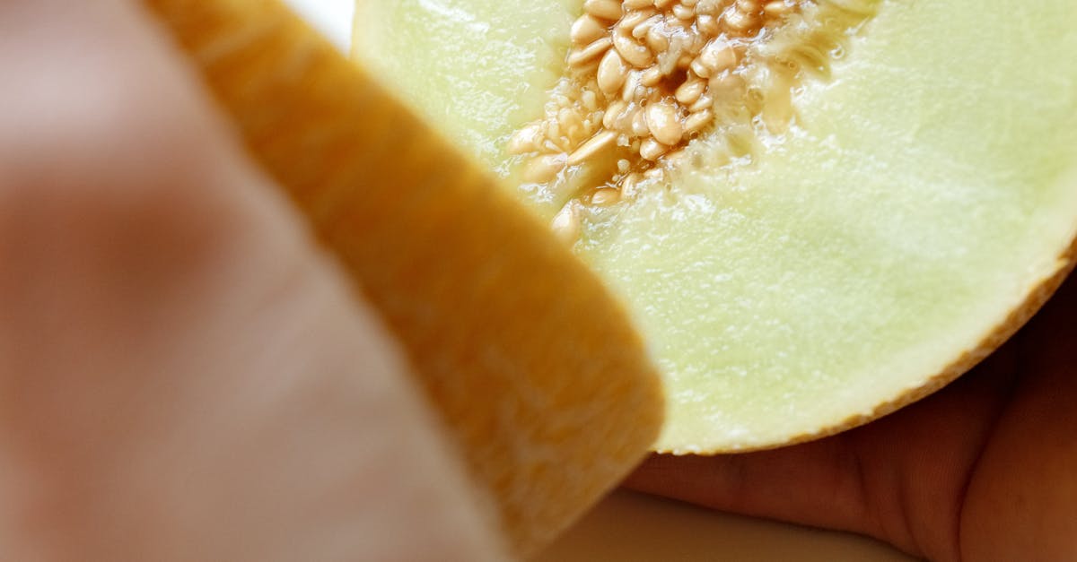 How to plant melon seeds from fruit