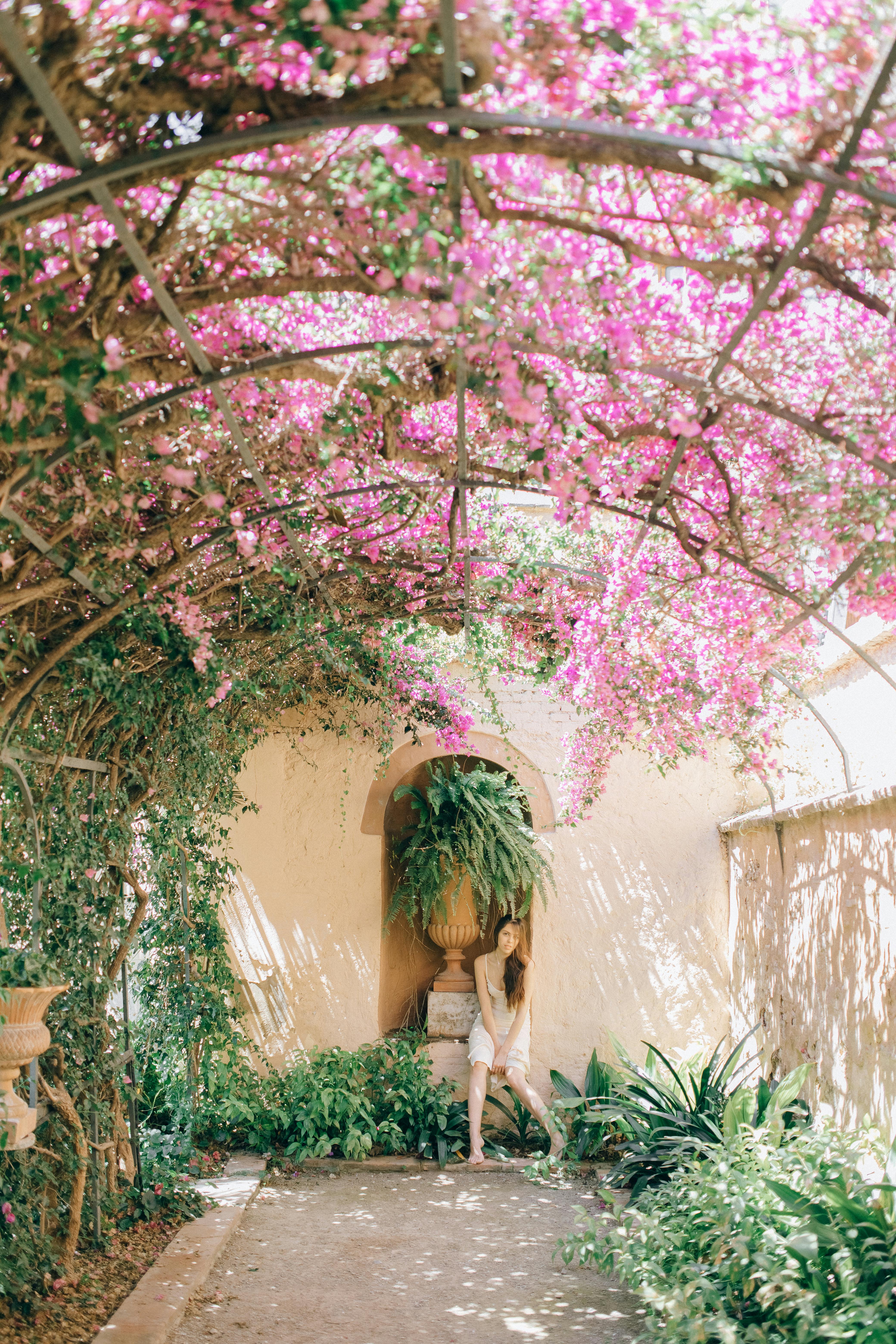 woman in black tank top standing under pink cherry blossom tree