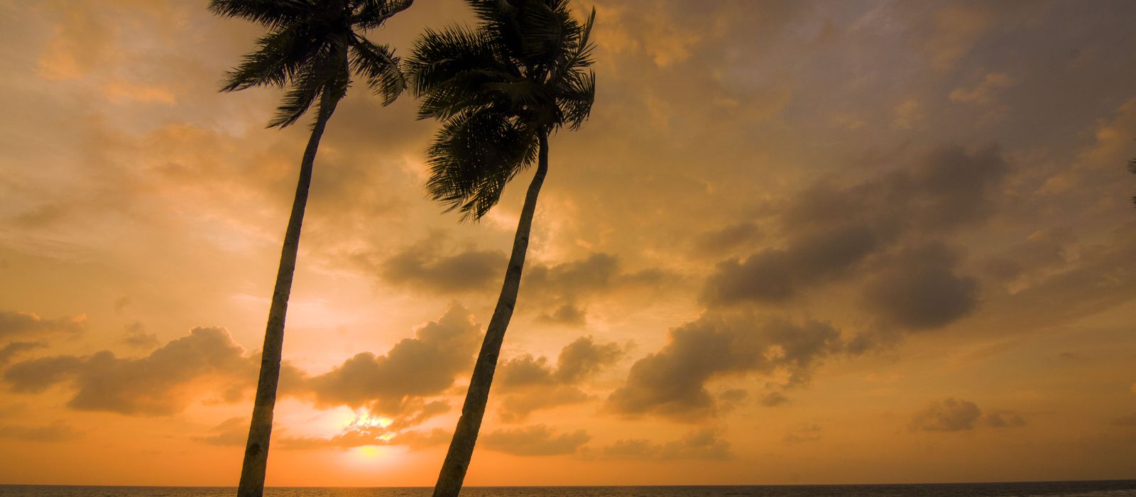 Stunning sunset view with palm trees on Teluk Ambon, capturing nature's tranquility and beauty. — flights from Jakarta to Ambon