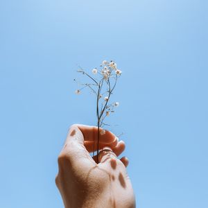 Hand holding a bouquet against an open sky — photo by Maria Sofia on Pexels