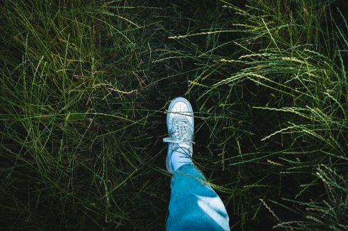 Free Top view of a person walking through tall grass wearing white sneakers and jeans. Stock Photo