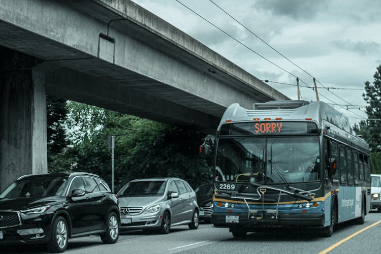 Buss And Cars On City Street, Bus Display Word Sorry