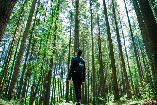 A woman with a backpack explores a lush forest in England, surrounded by tall trees in daylight.