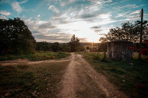 Free Empty walkway between growing trees and wooden construction under cloudy sky at sundown in countryside Stock Photo