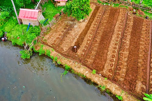 An Aerial Shot of an Agricultural Land by a River