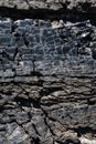 Close Up of Obsidian in Rock