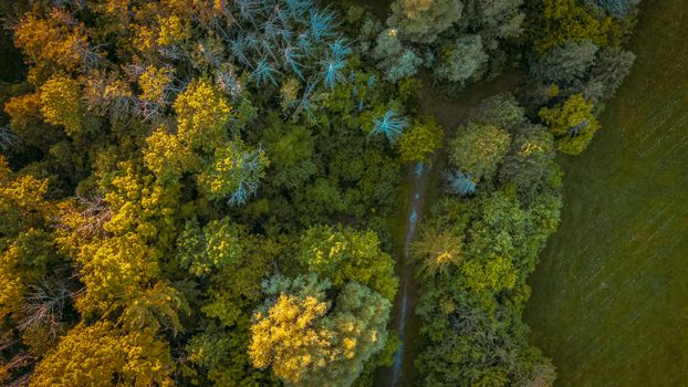 Ontario Court Rejects Developer's Bid to Overturn Greenbelt Land Return