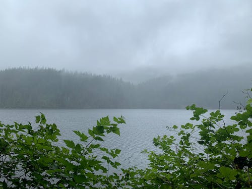 ハイキング, 木, 湖の無料の写真素材