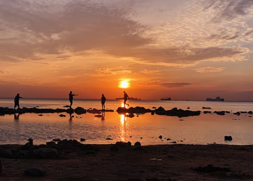 People silhouettes walking on beach at picturesque sunset