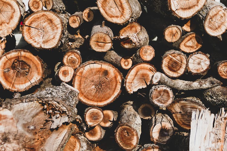 A Stack Of Chopped Firewood