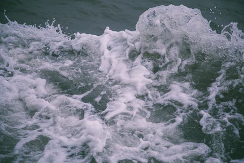 Fotos de stock gratuitas de agua, chapotear, de cerca