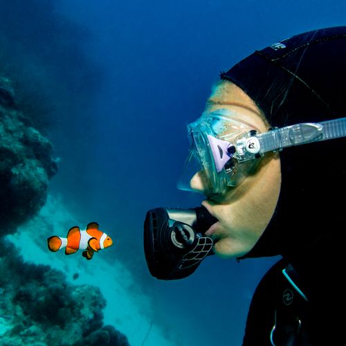Free A scuba diver wearing goggles closely observes a clownfish in the ocean. Stock Photo