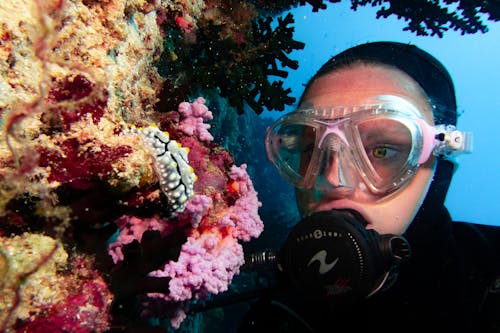 Free Scuba Diver Snorkeling Underwater on Coral Reef Stock Photo