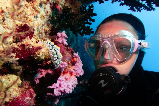 Kadmat reefs — Lakshadweep