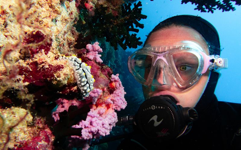 Red Sea Diving Jeddah | SaudiActivities