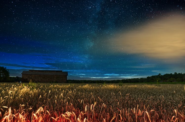 Agriculture Field On Starry Night