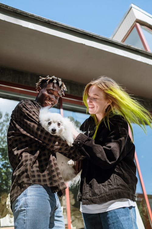 Ingyenes stockfotó afro-amerikai, élvezi, fehér kutya témában