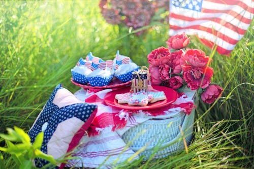 Gratis stockfoto met 4th of july, amerikaanse vlag, bloemen