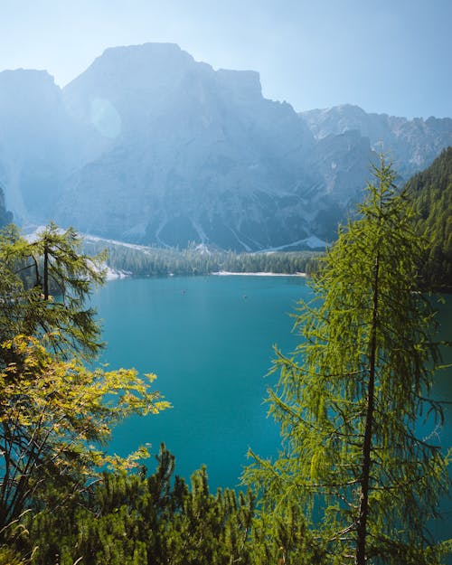 คลังภาพถ่ายฟรี ของ ต้นไม้, ทะเลสาป, ภูเขา