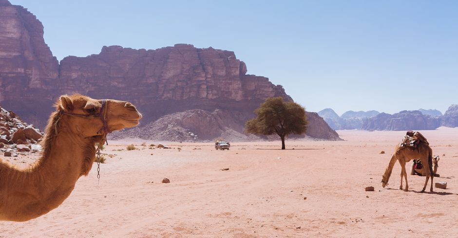 Wadi Rum - Safari en 4x4 et nuit bédouine