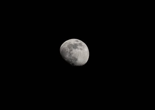 Kostnadsfria Kostnadsfri bild av astronomi, kväll, lunar Stock foto