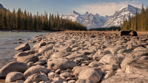 Free stock photo of adventure, alberta, athabasca