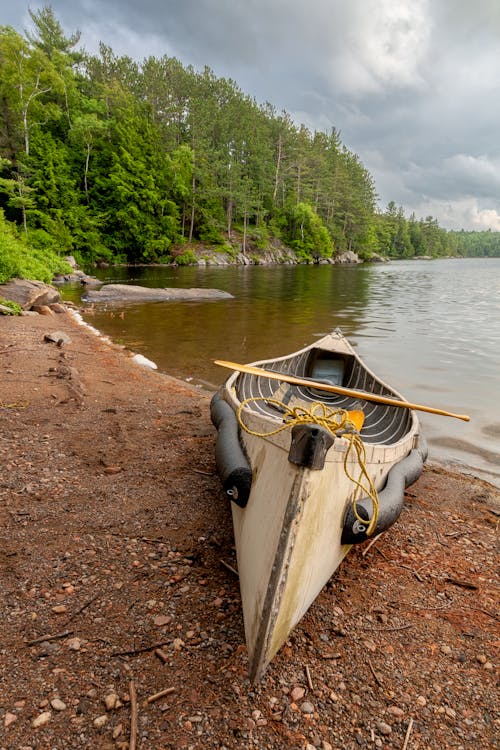 Free stock photo of beach, boat, boating