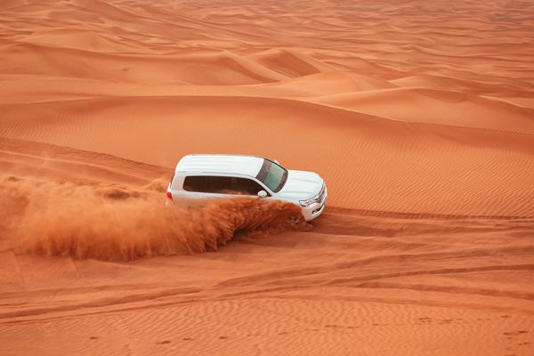 Dubai - Activity & Sightseeing