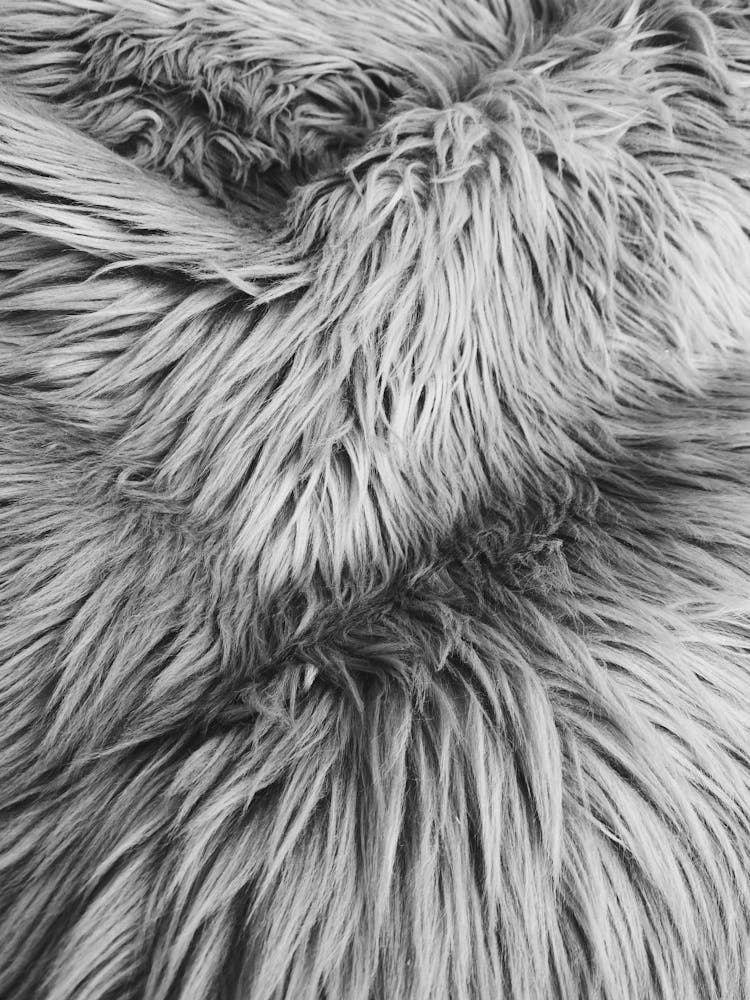 Full Shot Of Grey Fur Texture