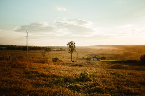 Old house on grass hillside near trees at sunset