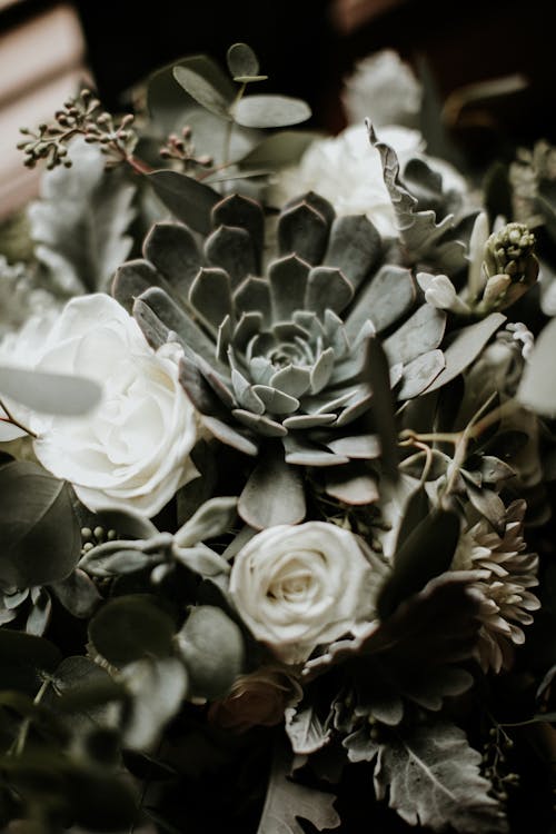 White Roses and Succulents