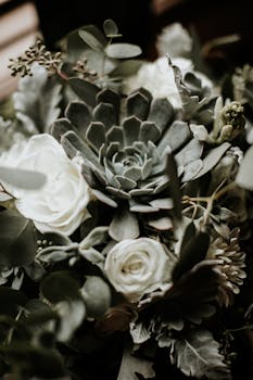 这束以多肉植物和白玫瑰为特色的花束特写优雅，非常适合插花