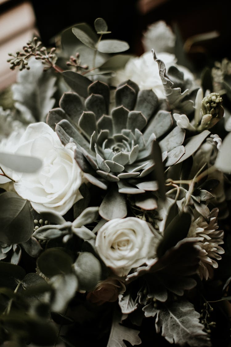 White Roses And Succulents